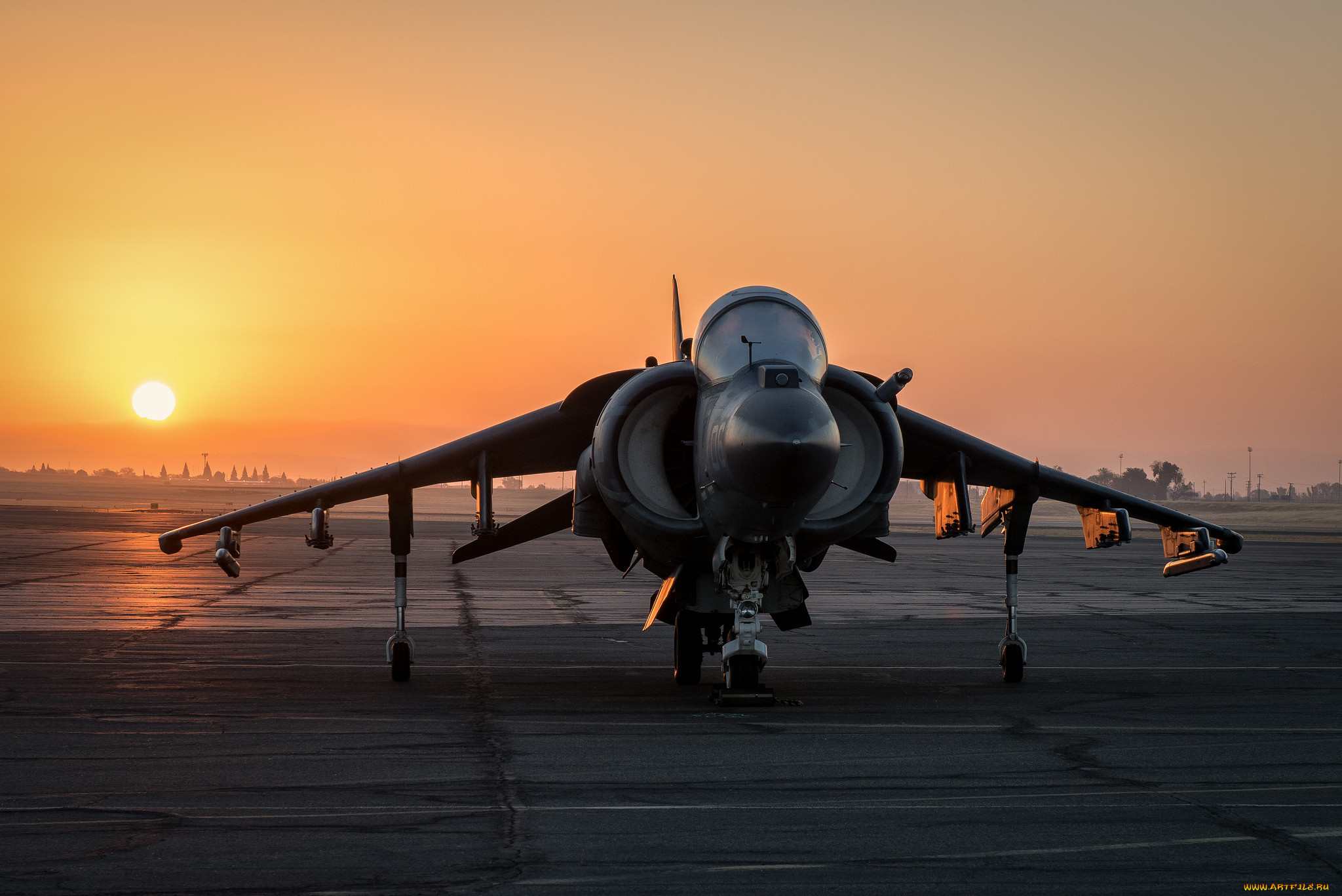 harrier sunrise, ,  , , , , 